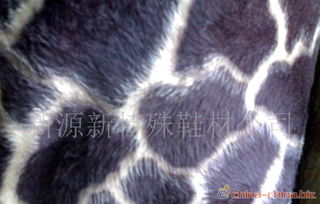 鞋材服裝面料供應