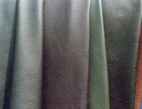 蘭州布料皮革批發